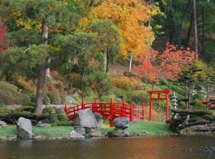 Un fabuleux jardin d'inspiration Japonaise, A découvrir!